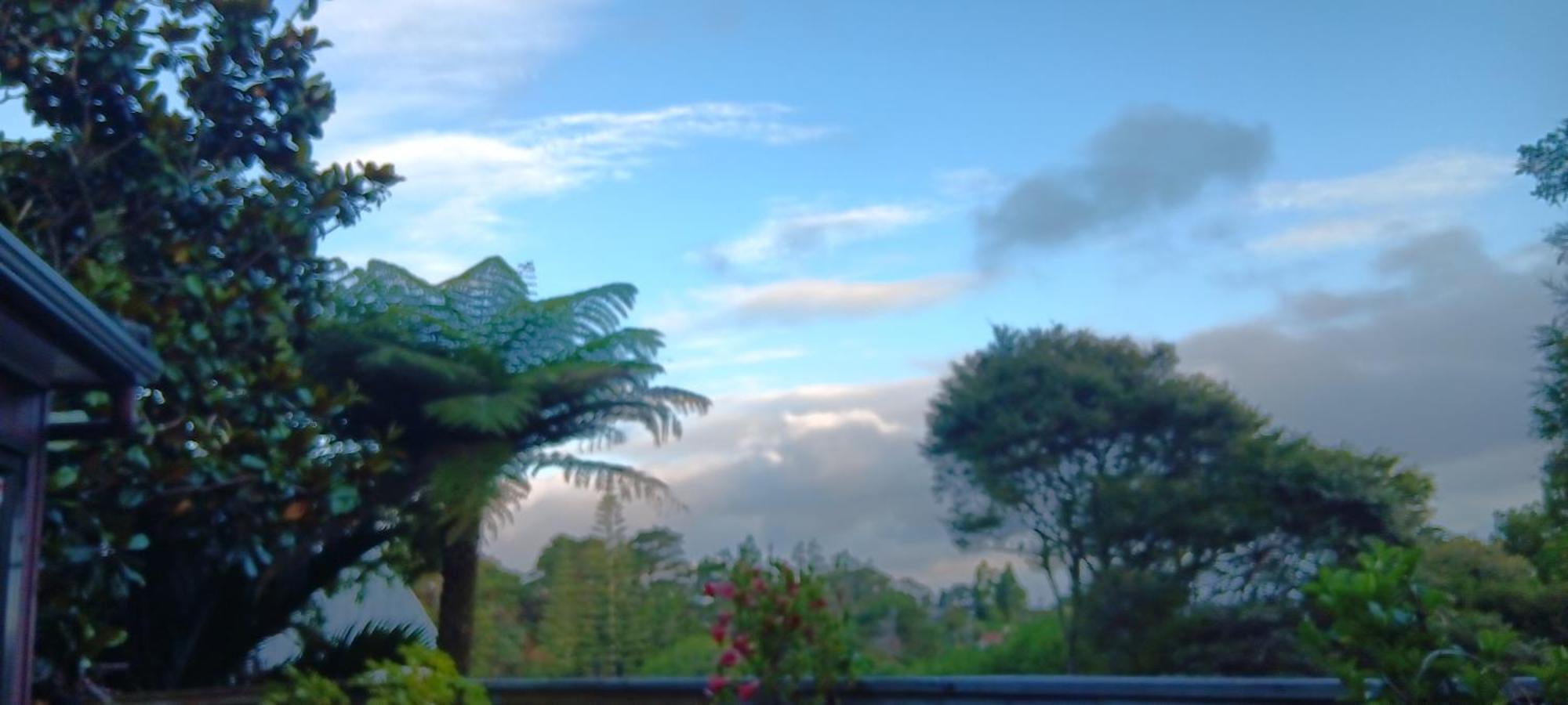 Tastebuds Bed N Breakfast Auckland Eksteriør bilde