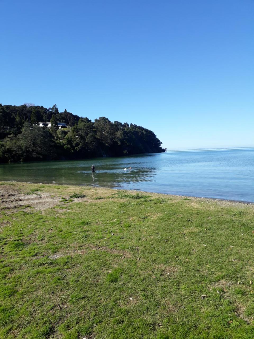 Tastebuds Bed N Breakfast Auckland Eksteriør bilde